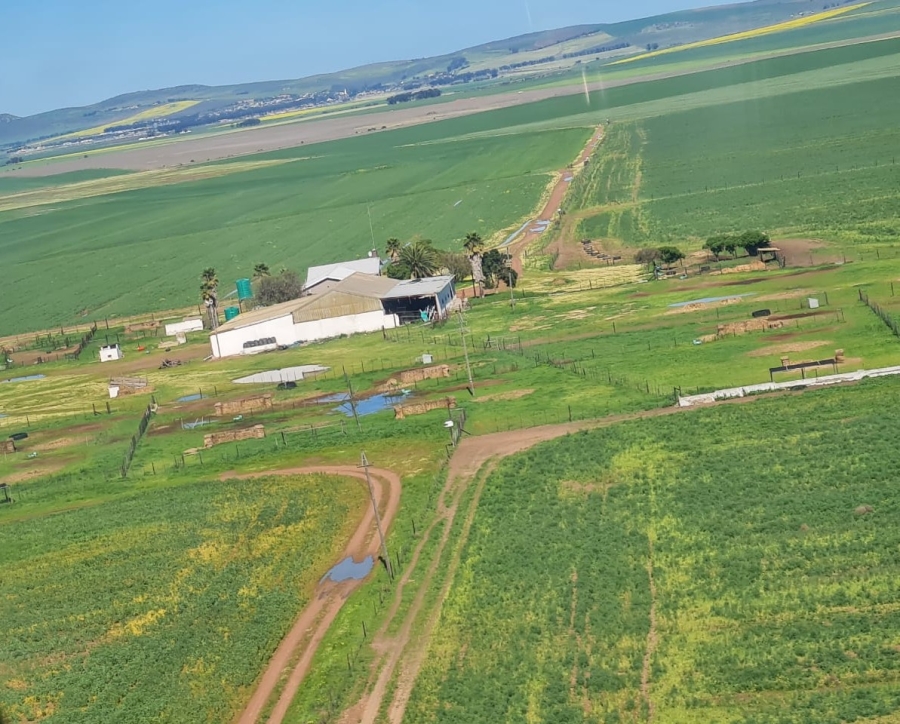 5 Bedroom Property for Sale in Darling Western Cape